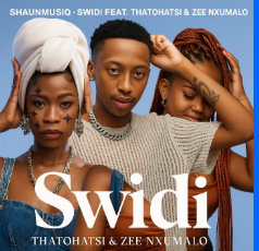 Screenshot 2025-09-10 092918 Shaunmusiq - Swidi
