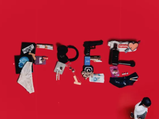 Nasty C – Free (Album)