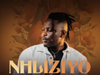 Mduduzi Ncube – Nhliziyo ngiyise
