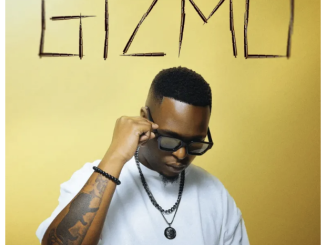 Latique – Gizmo