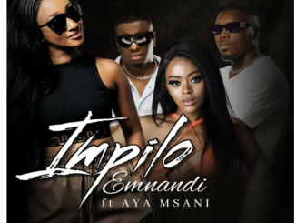 AURA DUSK, MSA & Murumba Pitch – Impilo Emnandi (ft. Aya Msani)