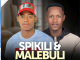 Amasinamuva Amasha feat. Ndumiso Luthuli - Naledi (Visualizer)
