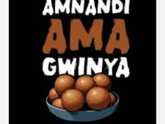 Dankieboi - Amnandi amagwinya Ft TNS, BlacksJnr & Blaqkiidd