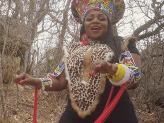 Sandra Ndebele – Umuzi feat. Platform One