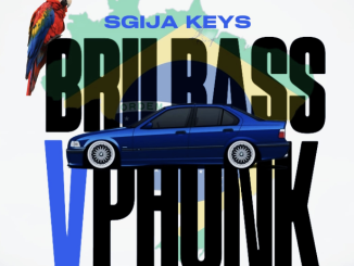 Sgija Keys - Brii Bass v Phonk