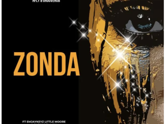 HFLY – Zonda
