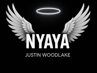 Justin Woodlake - Taidziwanepi Nyasha