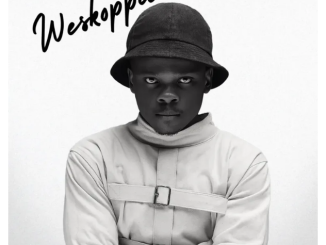 Yung Silly Coon & Cool`kraz3 – Weskoppies
