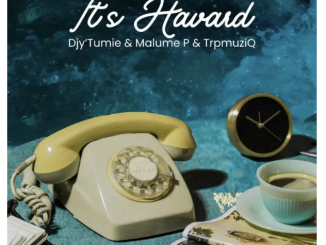 Djy’Tumie, TrpmuziQ & Malume P – It’s Havard