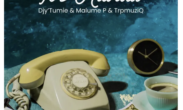 Screenshot 2025-10-16 at 19.01.22 Djy’Tumie, TrpmuziQ & Malume P – It’s Havard
