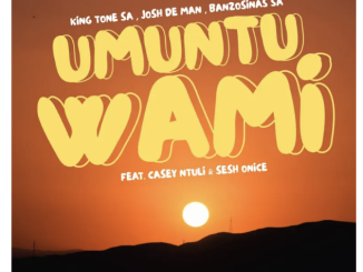 King Tone SA, Josh Deman & BanzoSinas SA