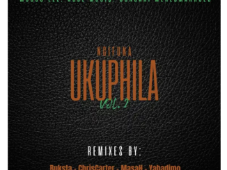 Mosco Lee & Nubz MusiQ – Ngifuna Ukuphila, Vol. 2