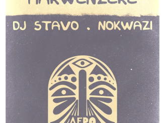 DJ Stavo & Nokwazi – Makwenzeke (Original Mix)