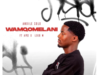 Apee & Leko M
