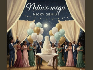 Nicky Genius - Ndiwe wega