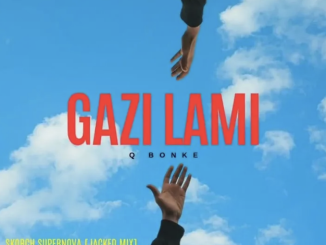 Q Bonke - Hola Nigalami