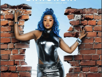 Babes Wodumo – Ekhoneni ft. Madanon & Rifle Deep