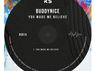 Buddynice – You Made Me Believe