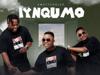 AmaTycooler – Ikhaya Lami