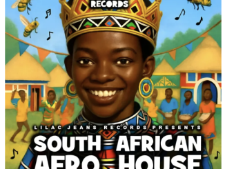 VA – South African Afro House Vol.1