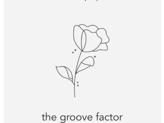 Nutty Nys – The Groove Factor