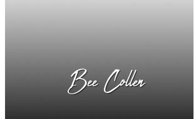Screenshot 2025-10-27 at 05.36.52 Bee Collen