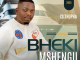 EP: Bheki Mshengu – ISITHUPHA