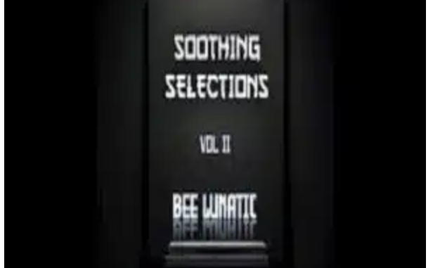 Screenshot 2025-10-30 at 14.38.47 Bee Lunatic