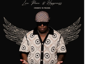 Dark Horse, Kabza De Small & Artwork Sounds