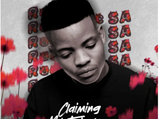 Roctonic SA – Buzz Me