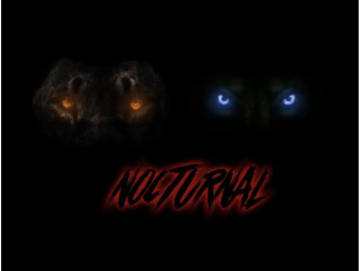 Dwson & !Sooks – Nocturnal