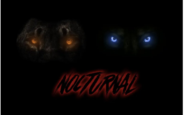 Screenshot 2025-10-31 at 13.25.36 Dwson & !Sooks – Nocturnal