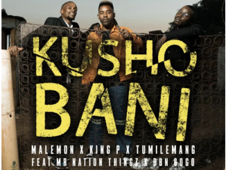 Malemon, Tumilemang & King P – Kusho Bani (feat. DBN Gogo & Mr Nation Thingz)