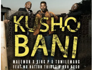 Malemon ft. Tumilemang, King P, DBN Gogo & MrNationThingz