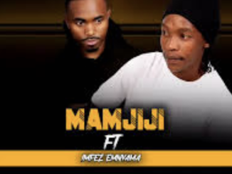 Mamjiji - Asithandane (feat. Imfezemnyama)
