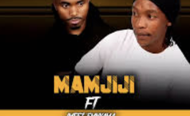 Mamjiji - Asithandane (feat. Imfezemnyama)