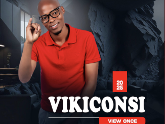 Vikiconsi - View Once