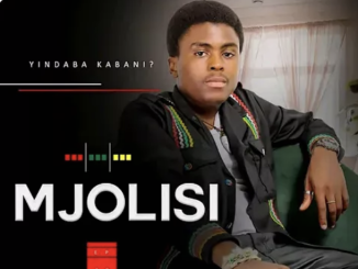 Mjolisi – ubuhle obungaka