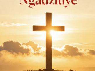 Justin Woodlake - Ngadziuye