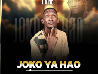 Dr Nel - Joko Ya Hao