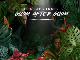 Static Que & Licious