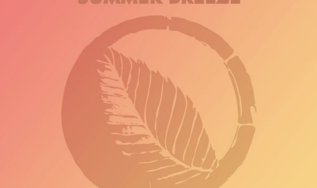 N'Dinga Gaba - Summer Breeze (Remix)