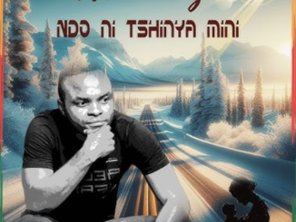 NETHWADZI - Ndoni Tshinya Mini