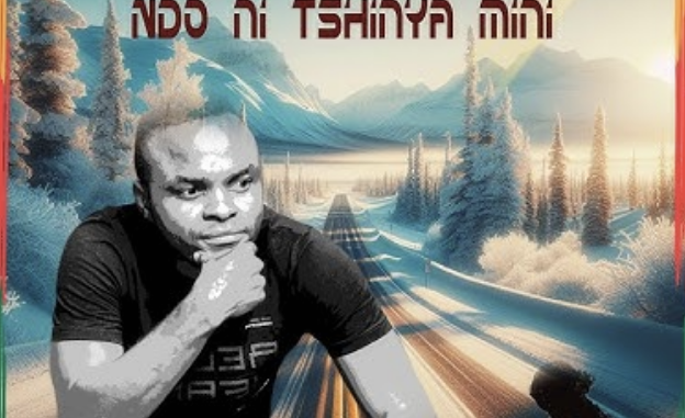 NETHWADZI - Ndoni Tshinya Mini