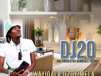 Dj20 Ochestra Bambadzi - Bakalanga