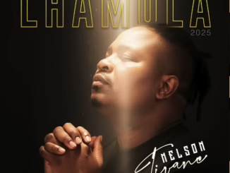 Nelson Tivane Ft Bander - Magudeza