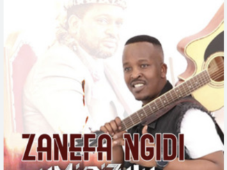 Zanefa Ngidi - Misuzulu