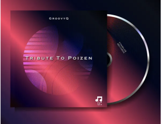 GroovyQ – Tribute To Poizen (Groovy Mix)