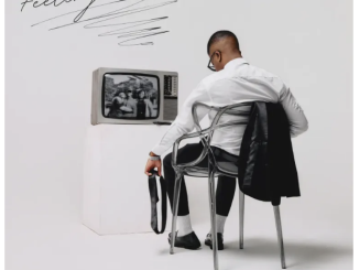 Djy Biza & Shakes & Les – Feelings (feat. Leandra.Vert)