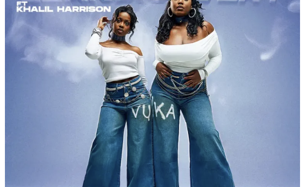 Lesego M & Leandra.Vert – Vuka (feat. Khalil Harrison)